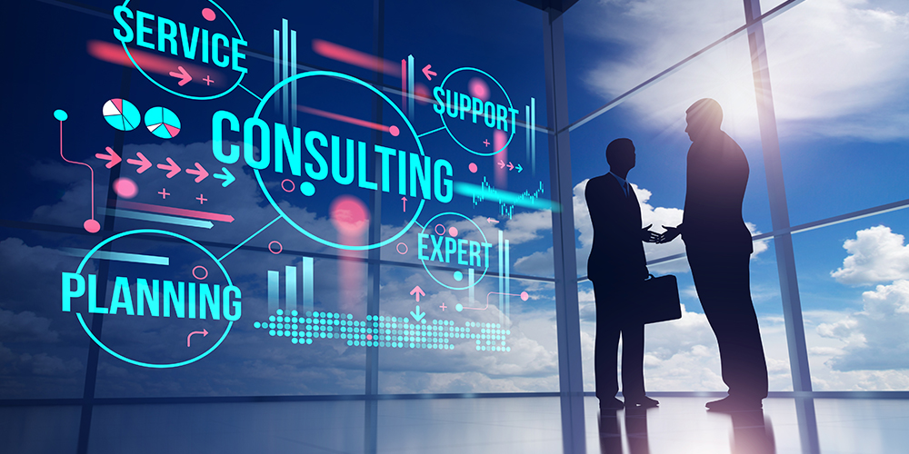 Services- Symbiotic Consulting Group